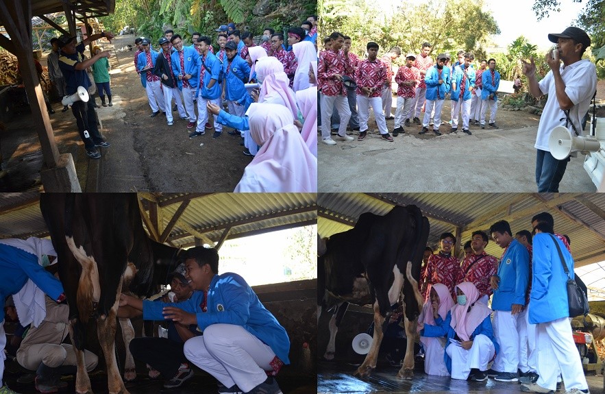 this used to be photo