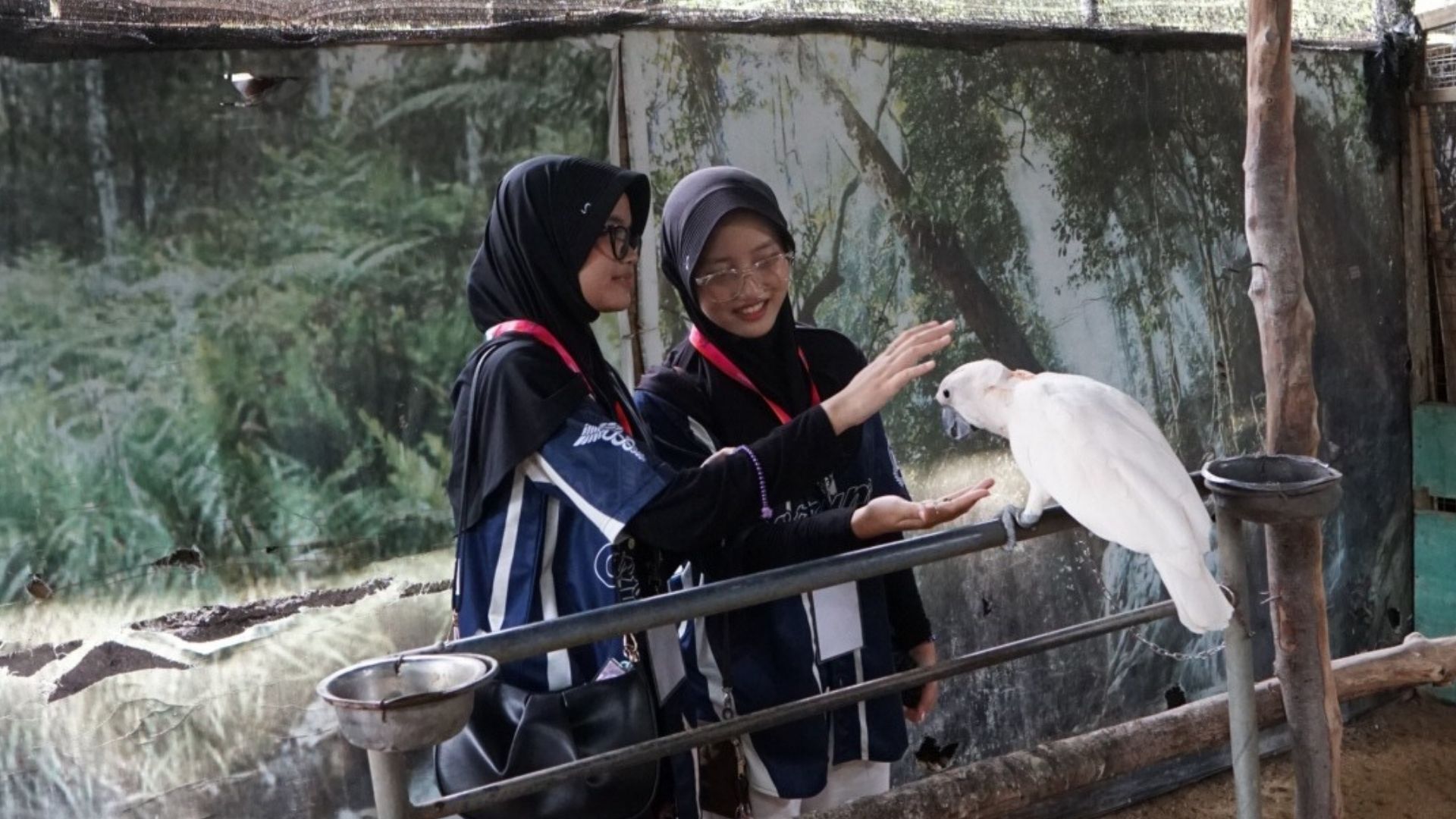 this used to be photo